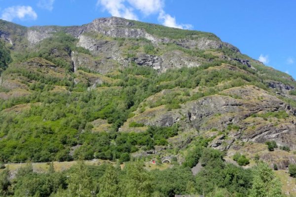 Сайт тор кракен