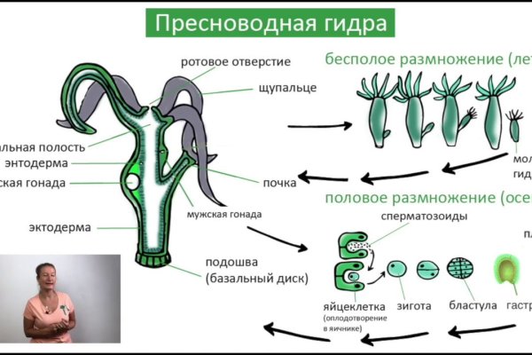 Ссылка на кракен онион