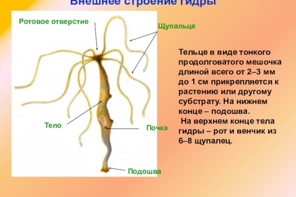 Кракен маркетплейс официальный сайт