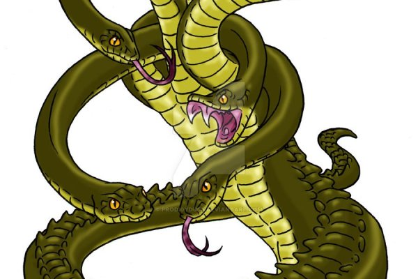 Kraken даркнет переходник