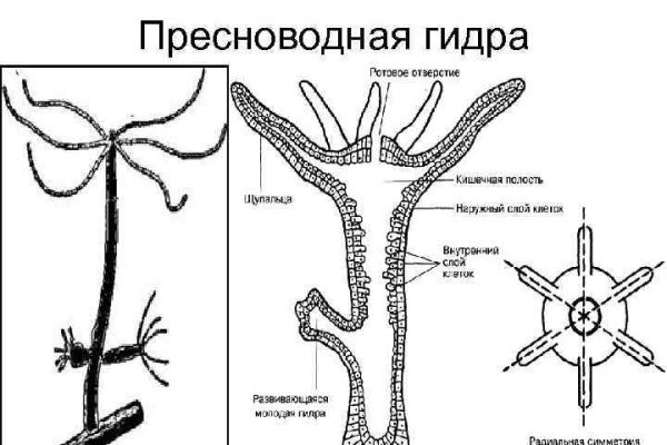 Что такое даркнет кракен